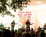 Ilindanski koncert u Stocu 2016. – grupa "Dalmatino"