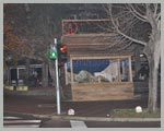 JASLICE NA CENTRU GRADA U STOCU 2011.