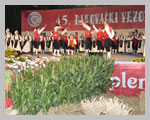 HKUD „Stolac“ Stolac na 45. Đakovačkim vezovima 2011.